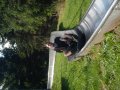 DSCN1088.JPG